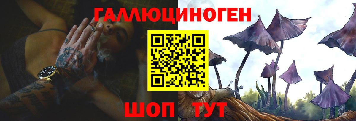 Чернушка  Галлюциногенные грибы мухоморы  Вход с VPN 